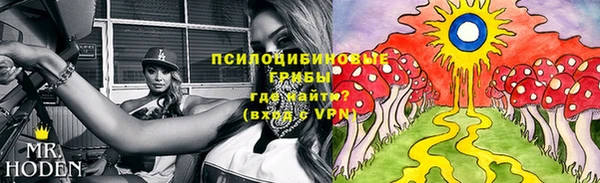 mdma Осинники