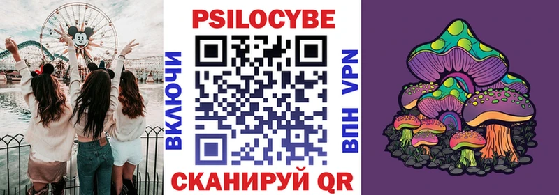 ОМГ ОМГ как войти Белинский Псилоцибиновые грибы MAGIC MUSHROOMS